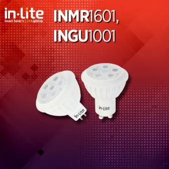 INMR1601, INGU1001