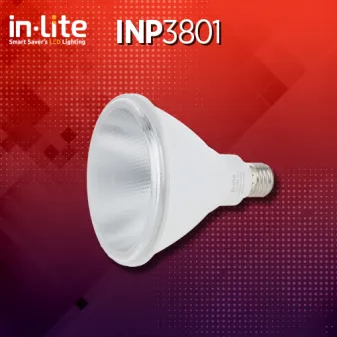 INP3801